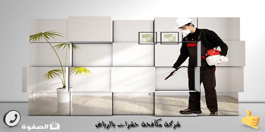 شركة مكافحة حشرات بالرياض الصفوة: حلول فعّالة لمشكلة الحشرات في السعودية