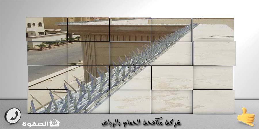 شركة مكافحة الحمام بالرياض