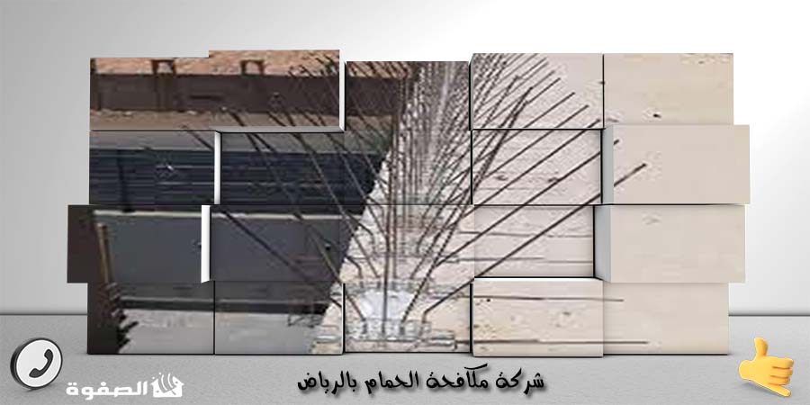 شركة مكافحة الحمام بالرياض
