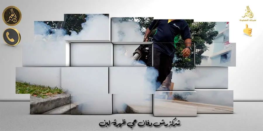شركة رش دفان حي ظهرة لبن